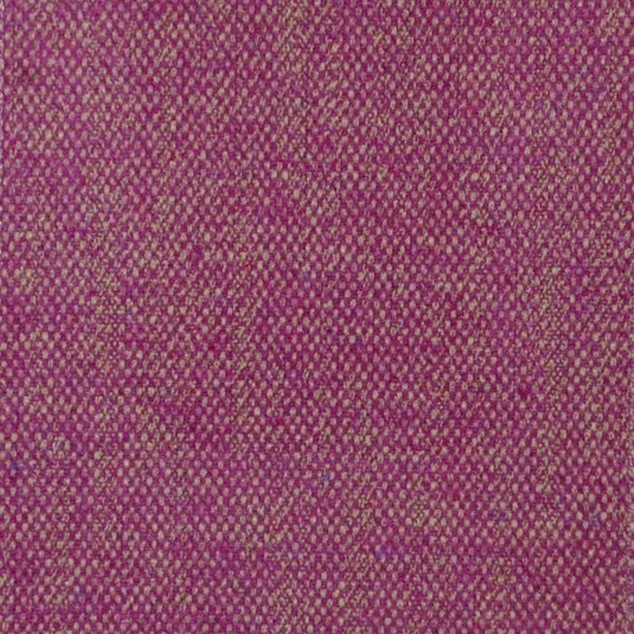 Selkirk grape product detail