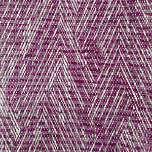 Kiso fuschia product detail