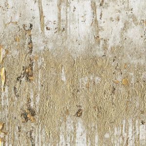 Ant111 crop product detail