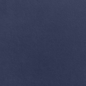 Charm 308 product detail