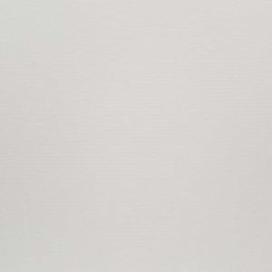 Calshot daisy 1 300x300 product detail