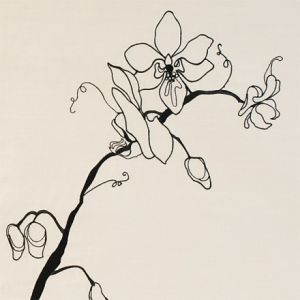 Design forum fabric orchid bream black 440x440 product detail