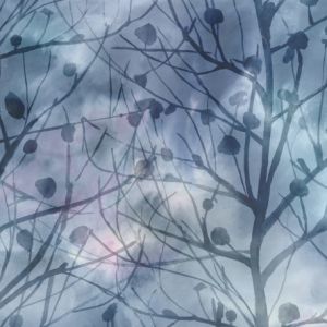 Voyage wallpaper zeus midnight product detail