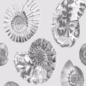 Voyage wallpaper fossilium frost product detail