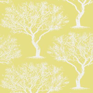 Anna french wallpaper at6003 medium product detail