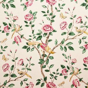 Andhara2 product detail