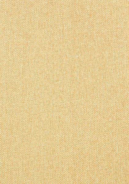 Thibaut wallpaper t41123 medium product detail