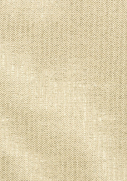Thibaut wallpaper t41125 medium product detail