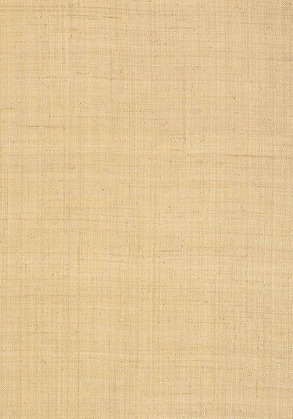 Thibaut wallpaper t13040 medium product detail