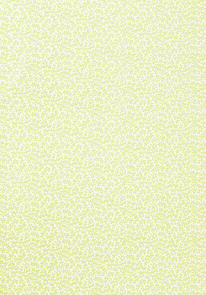 Thibaut wallpaper t4187 medium product detail
