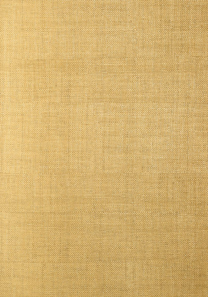 Thibaut wallpaper t14133 medium product detail