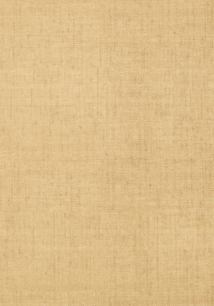 Thibaut wallpaper t14147 medium product detail