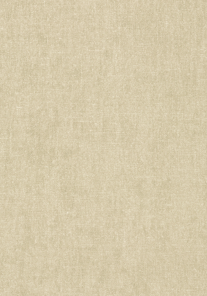 Thibaut wallpaper t57125 medium product detail