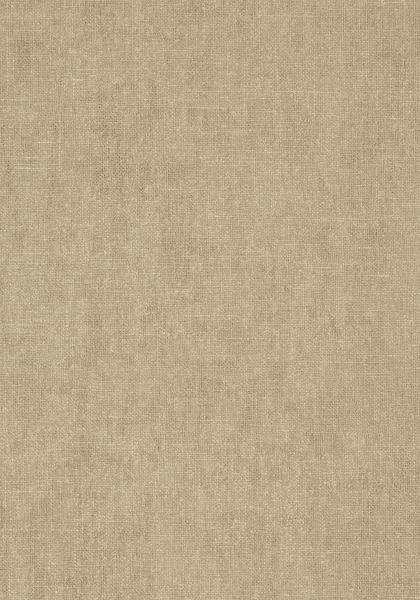 Thibaut wallpaper t57126 medium product detail
