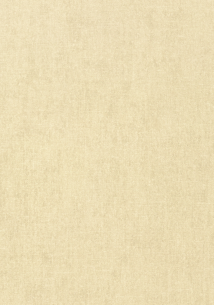 Thibaut wallpaper t57127 medium product detail