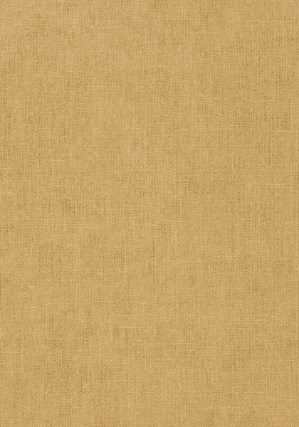 Thibaut wallpaper t57128 medium product detail