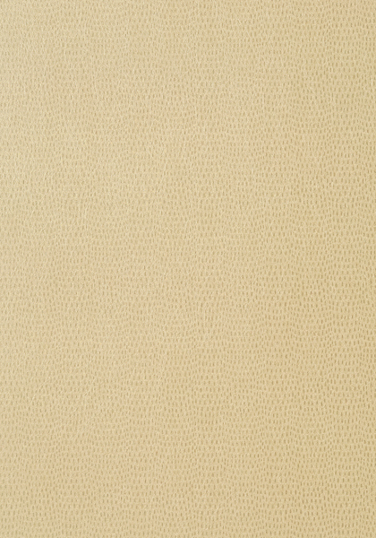 Thibaut wallpaper t57155 medium product detail