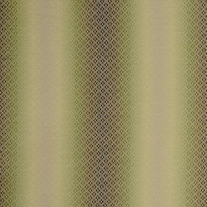 Clarke and clarke fabric f0790 06 300x300 product detail