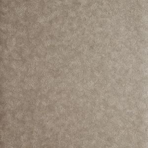 Clarke and clarke wallpaper w0056 01 product detail