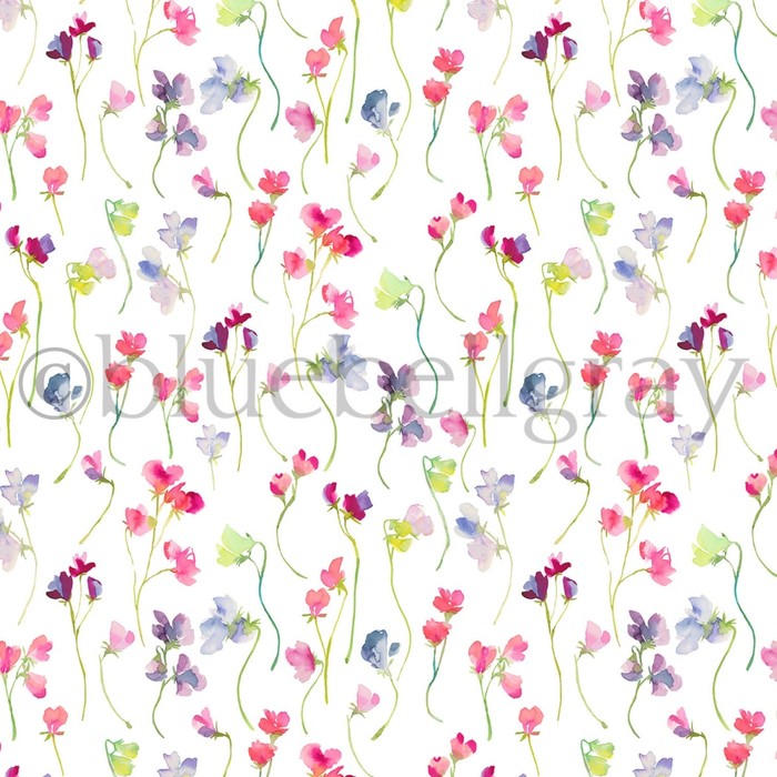Sweet pea product detail