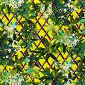 Christian lacroix fabric fcl2276 03 product detail