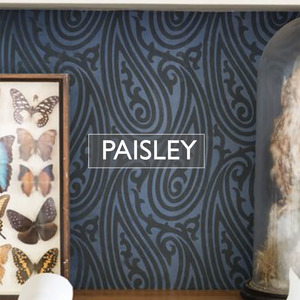 PaisleyFarr