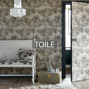Toile Ana