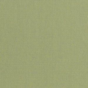10161 product detail