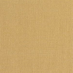 10031 product detail