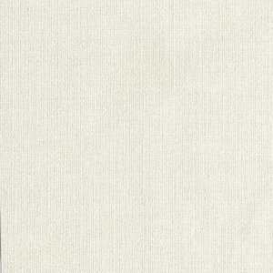 10036 product detail