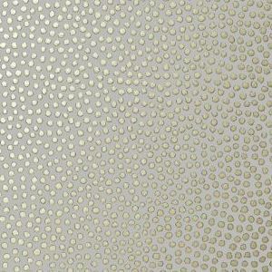 At79164 product detail