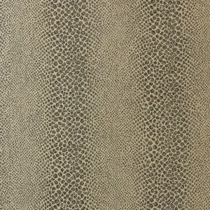 At7921 product detail
