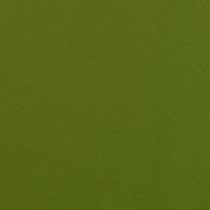 Warwick fabric amatheon lime product detail