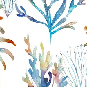 Coral reef cobalt product detail