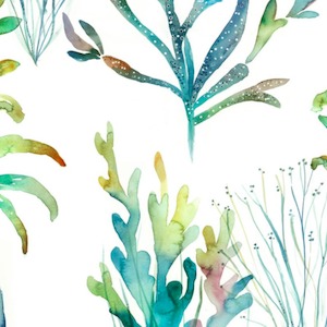 Coral reef kelpie product detail