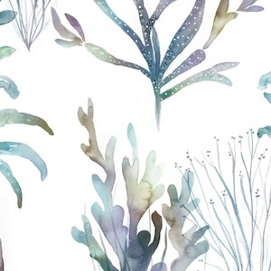 Coral reef slate product detail