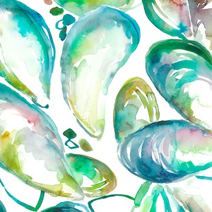 Mussel shells kelpie product detail