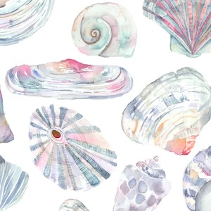 Rockpool abalone product detail