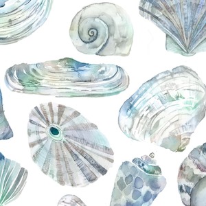 Rockpool marine product detail