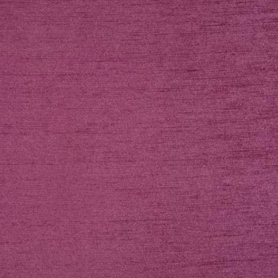 Kensington fushsia product detail