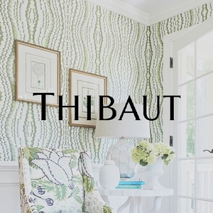 Logo Thibaut