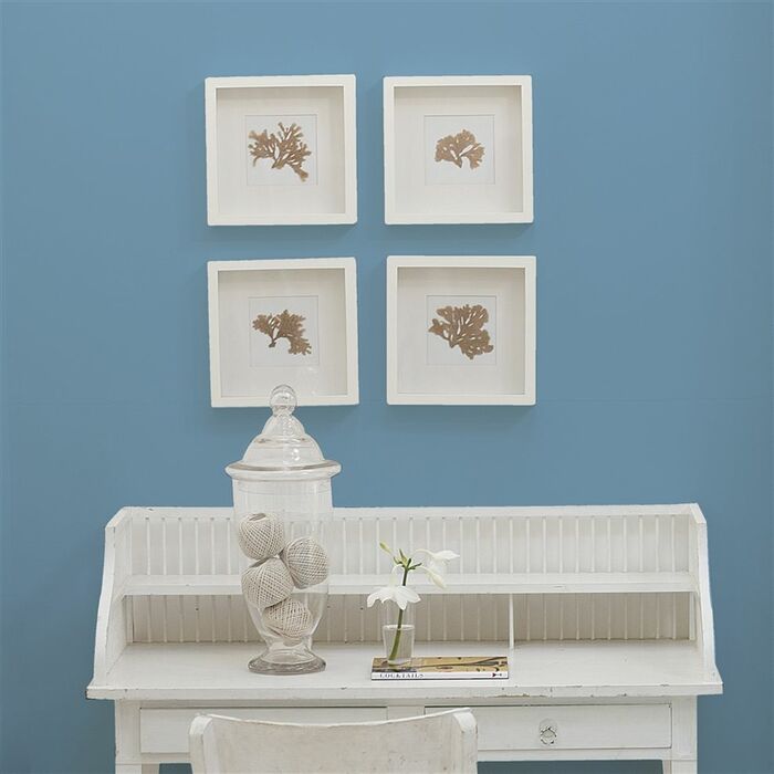 46 borage flower bluewall1 product detail