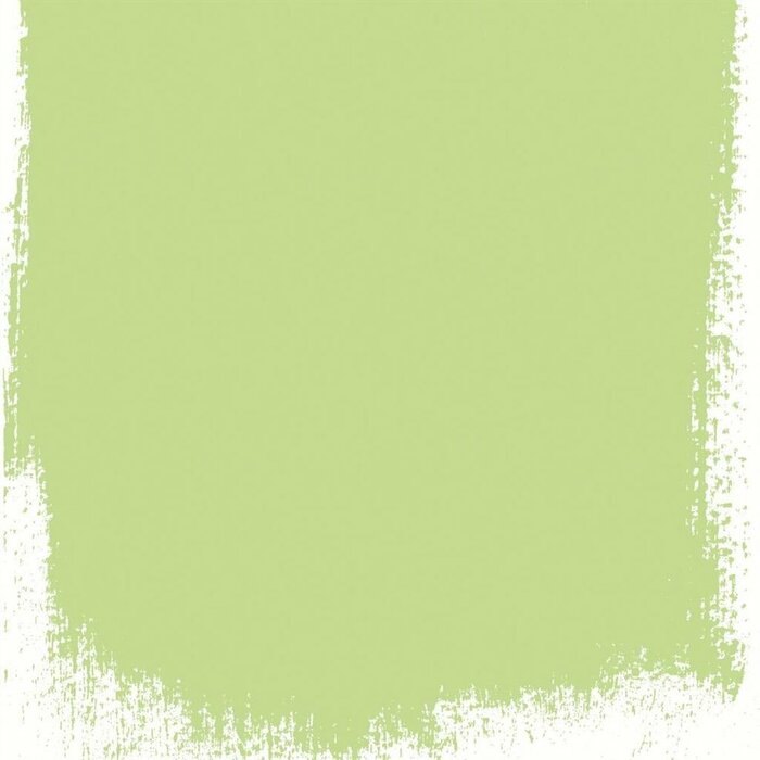 Designers guild paint 101 mimosa leaf product detail