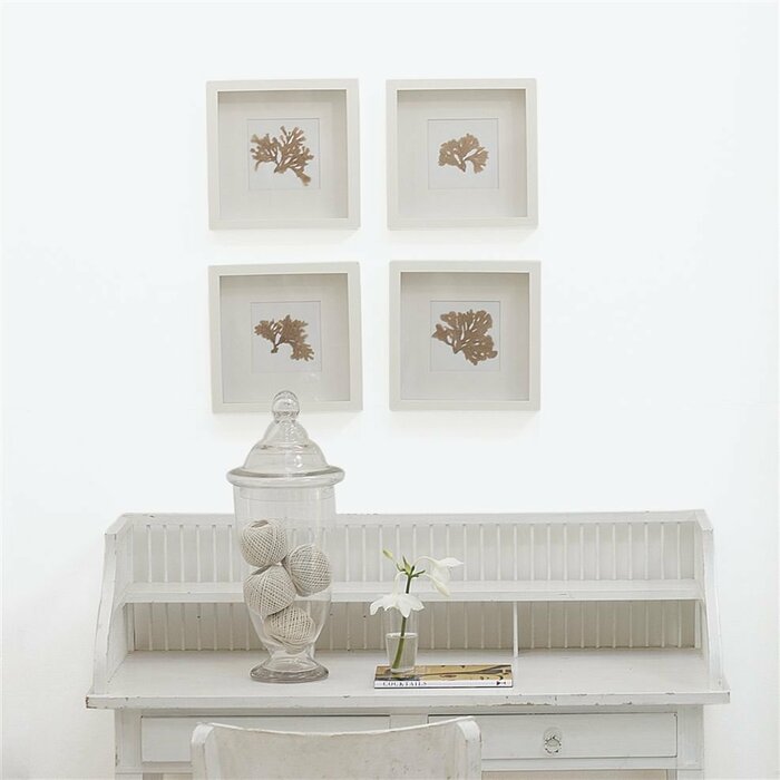 2 whitewashwall1 product detail