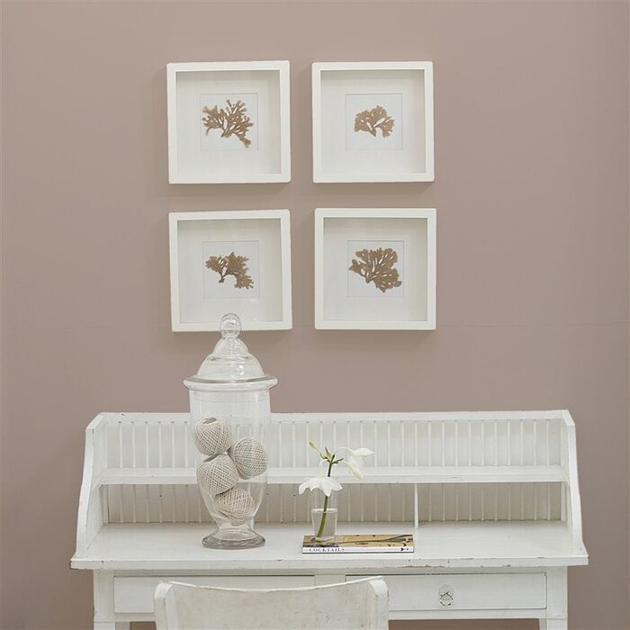 24 pale birchwall1 product detail