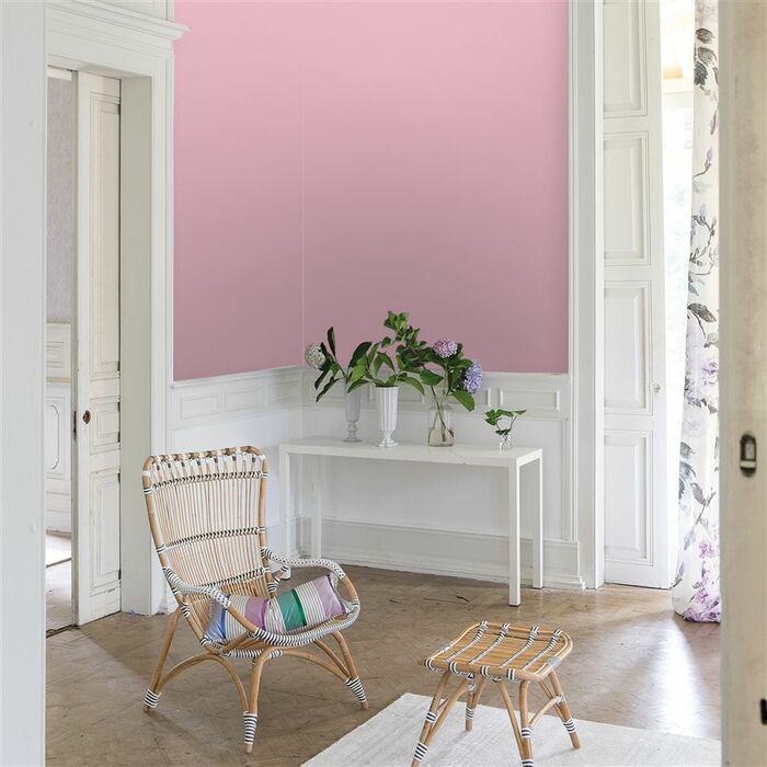 132 dianthus pinkwall1 product detail