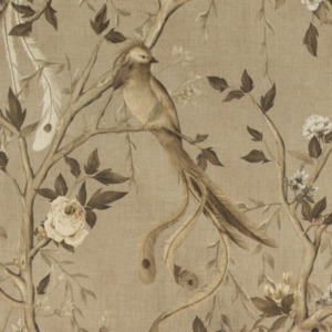 Carlucci avventura 1 product listing