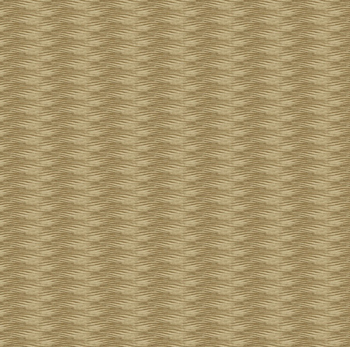 Carlucci beyond 5 product detail