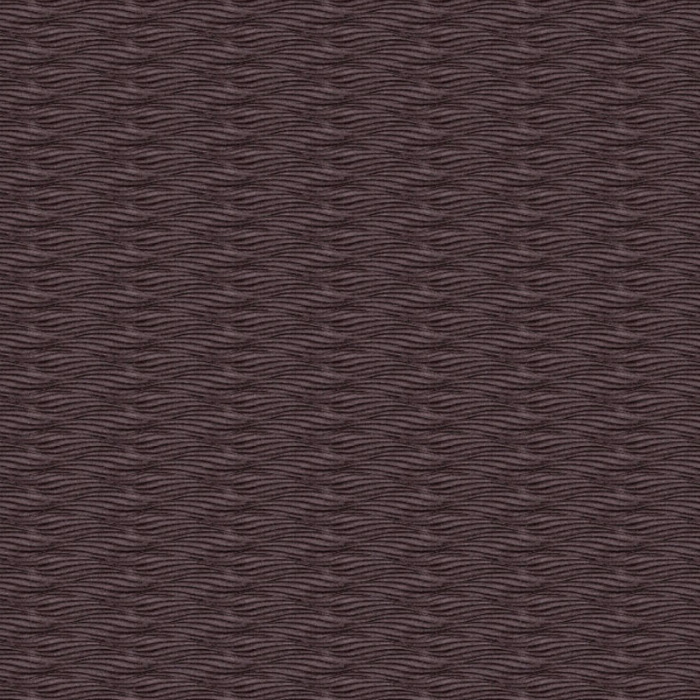 Carlucci beyond 12 product detail