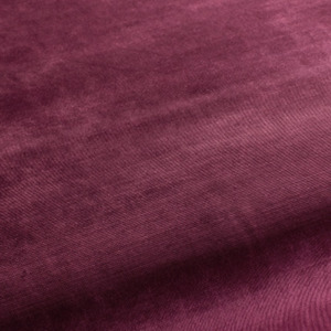 Carlucci new york 21 product listing